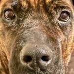 Ersteller:in Karin Profilbild