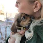 Ersteller:in Larissa Profilbild