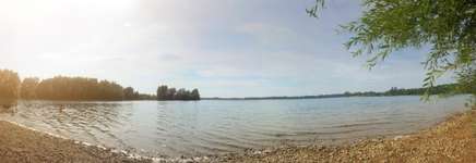 Hundeauslaufgebiet-Hundestrand Auesee-Bild