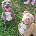 Ersteller:in Raphaella Profilbild