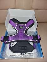 BullyBillows Hundegeschirr Größe L – Farbe Lila, Reflektierend, Robust-Beitrag-Bild