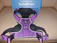 BullyBillows Hundegeschirr Größe L – Farbe Lila, Reflektierend, Robust-Beitrag-Bild
