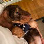 Ersteller:in Larissa Profilbild