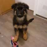 Ersteller:in Ulrike Profilbild