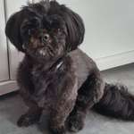 Ersteller:in Frauke Profilbild