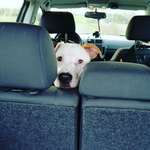 Ersteller:in Anne Profilbild