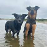 Ersteller:in Pia Profilbild