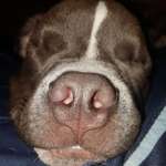 Ersteller:in Josy Profilbild