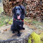 Ersteller:in Sabrina Profilbild