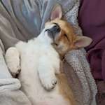 Ersteller:in Anja Profilbild