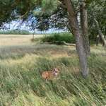 Ersteller:in Alex Profilbild