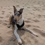 Ersteller:in Carolin Profilbild