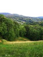 Hundeauslaufgebiet-Grillhütte-Bild