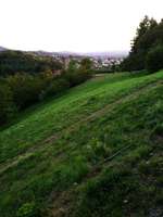 Hundeauslaufgebiet-Grillhütte-Bild