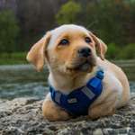 Ersteller:in Jumar Profilbild