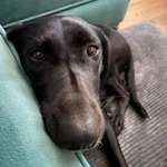 Ersteller:in Lena Profilbild