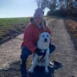 Ersteller:in Larissa Profilbild