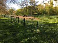 Hundeauslaufgebiet-Am Seggeluchbecken-Bild