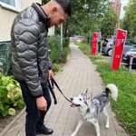 Ersteller:in Maurice Profilbild