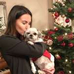 Ersteller:in Maximiliane Profilbild