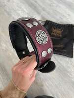 Hunde Halsband-Beitrag-Bild