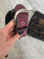 Hunde Halsband-Beitrag-Bild