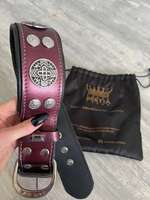 Hunde Halsband-Beitrag-Bild