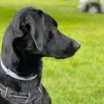 Ersteller:in Stephanie Profilbild