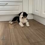 Ersteller:in Anette Profilbild