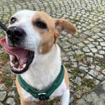 Ersteller:in Clara Profilbild