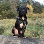 Ersteller:in Jiggy Profilbild