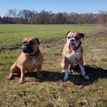 Ersteller:in Claudia Profilbild