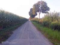 Hundeauslaufgebiet-Feldwege um Eiglasdorf und Pleisdorf-Bild