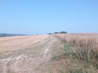 Hundeauslaufgebiet-Feldwege um Eiglasdorf und Pleisdorf-Bild