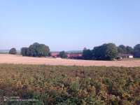 Hundeauslaufgebiet-Feldwege um Eiglasdorf und Pleisdorf-Bild