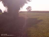 Hundeauslaufgebiet-Feldwege um Eiglasdorf und Pleisdorf-Bild