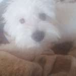 Ersteller:in Melanie Profilbild