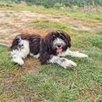 Ersteller:in Dany Profilbild