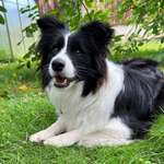 Ersteller:in Sabine Profilbild