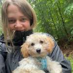 Ersteller:in Ann-Christin Profilbild