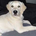 Ersteller:in Alexandra Profilbild