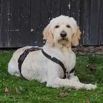 Ersteller:in Christine Profilbild