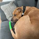 Rute aufgeschlagen-Beitrag-Bild