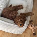 Ersteller:in Maria-luisa Profilbild