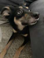 Suchmeldung-Sunny-Bild