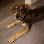 Ersteller:in Ann-Cathrin Profilbild