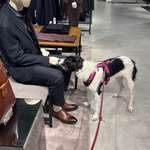 Ersteller:in Volker Profilbild