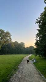 Hundeauslaufgebiet-Schwanenteich-Bild