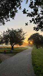 Hundeauslaufgebiet-Schwanenteich-Bild