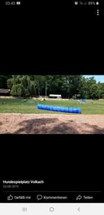 Hundeauslaufgebiet-Hundespielplatz Volkach-Bild